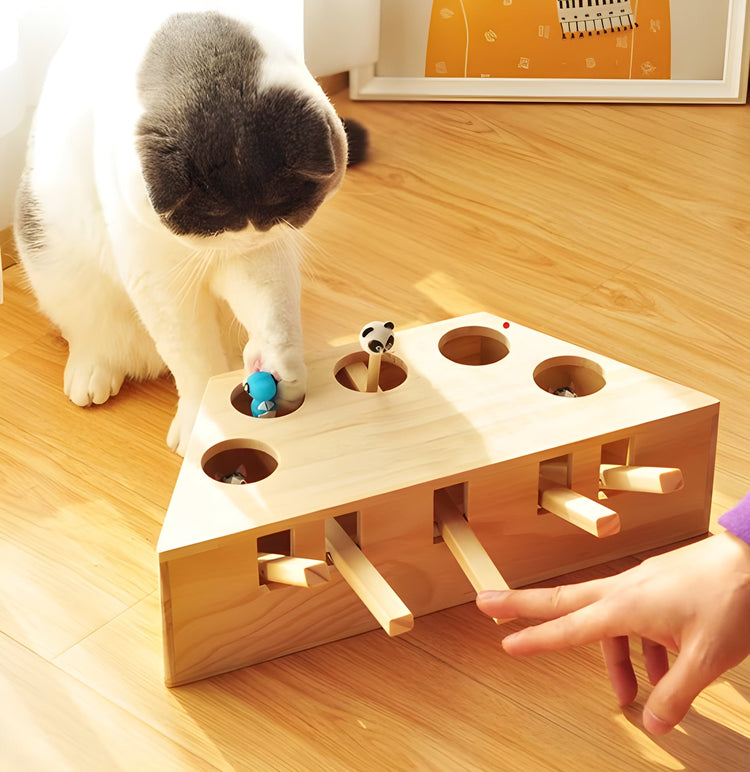 Huisdieren speelgoed- Gadgets