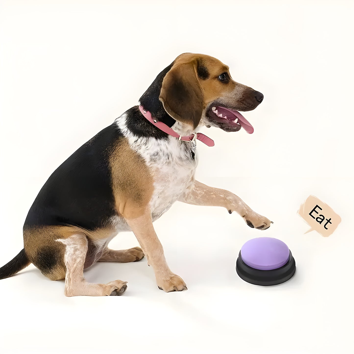 DogTalker By Pawn Tect