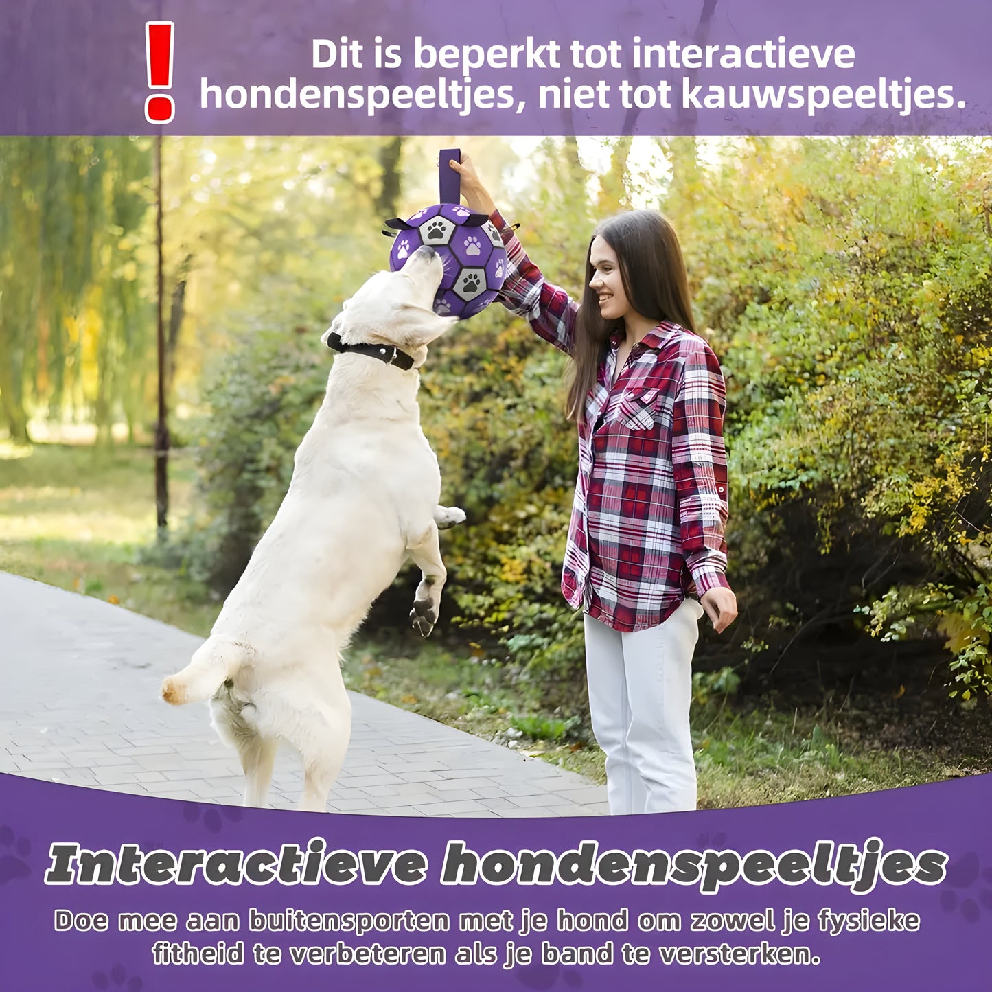 Kwispelkogel By Pawn Tect