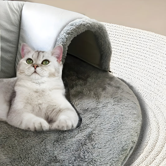 Droomdomein By Pawn Tect