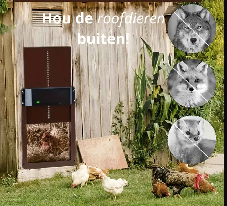 HappyKip AutoHok Safety By Pawn Tect