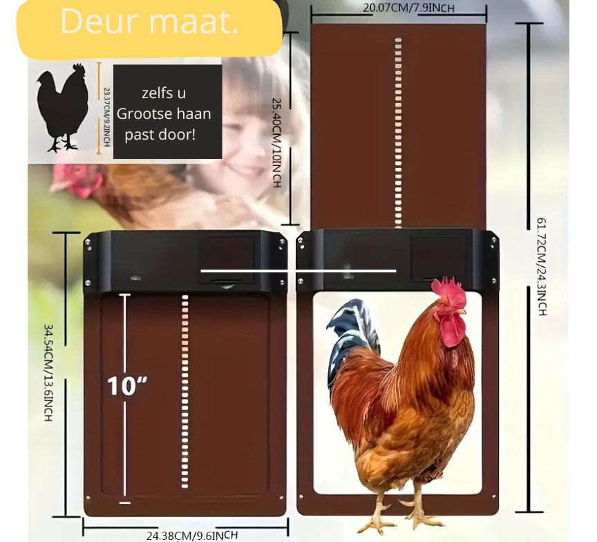 HappyKip AutoHok Safety By Pawn Tect
