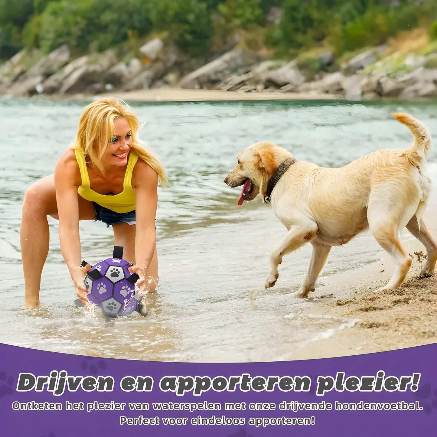 Kwispelkogel By Pawn Tect